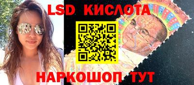 шишки Можга