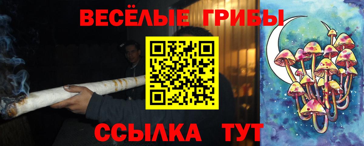 МЕФ Великий Новгород